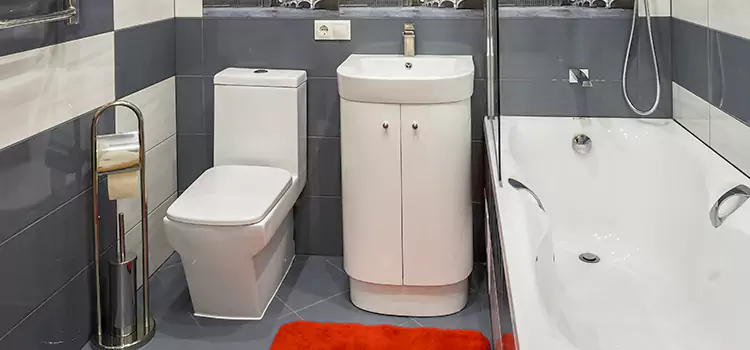 Hansgrohe Shaving Mirror North Decatur